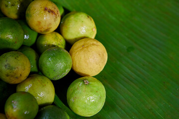 Fresh lime on green leaf