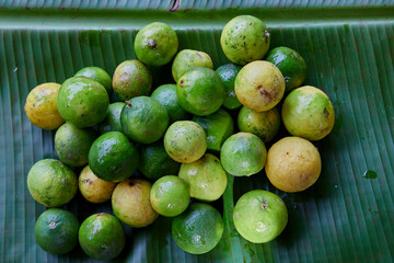 Fresh lime on green leaf