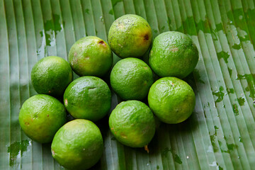 Fresh lime on green leaf