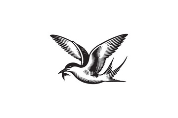 An Arctic tern bird vector silhouette  image made by adobe illustrator.