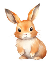 Fototapeta premium PNG Rodent animal mammal rabbit.