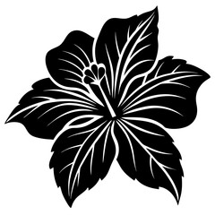 black and white flower