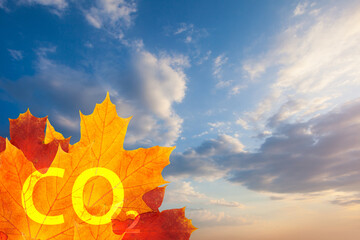 Environmental protection concept. Carbon dioxide absorption, CO2 inscription on autumn leaves...