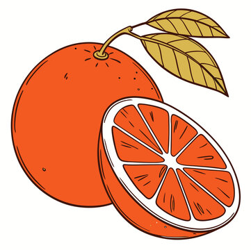 recommend clip art: Fresh ripe citrus orange fruit with a healthy leaf design vector illustration