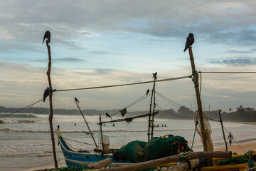 Surfing Paradise and golden beach in Weligama coast of indian ocean in Sri Lanka. Fishing boat on...