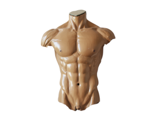 Isolated Male Torso Mannequin