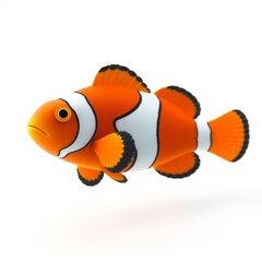 nemo fish isolated on white background