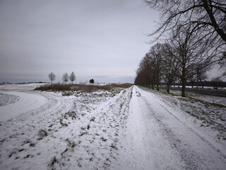 Obraz premium Serene snowy path lined with bare trees in the Prague countryside, showcasing a tranquil winter landscape under a cloudy sky Golf Vinor