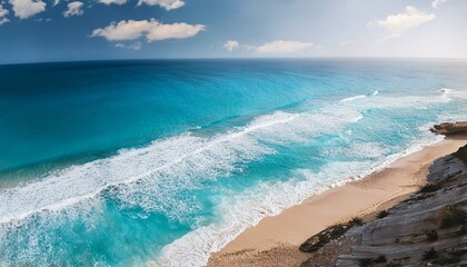 The underwater world is a treasure trove of life.  