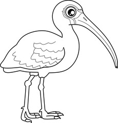 Ibis bird cartoon line art for coloring book pages