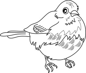 Junco bird cartoon line art, for coloring book pages