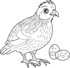 Quail bird cartoon line art for coloring book pages