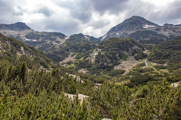 Pirin Mountain around Banderitsa River, Bulgaria