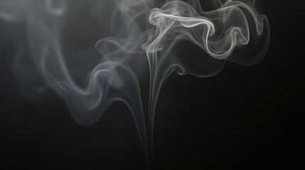 Fototapeta premium smoke on black