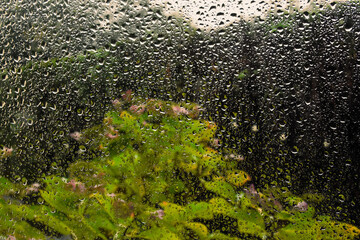 Effet de pluies sur vitre avec végétation vertederrière. 