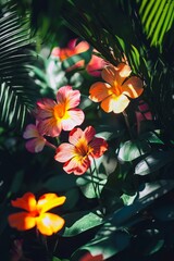 Sunlight creates vibrant shadows on blooming flowers in lush greenery
