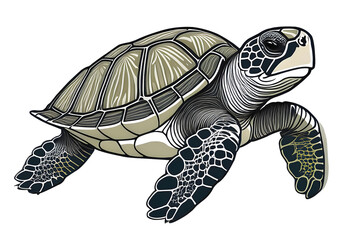 Obraz premium Turtle Isolated on White Background – Wildlife and Nature Concept