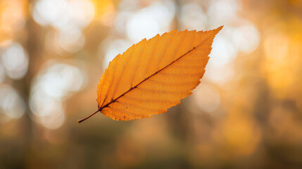 Obraz premium Delicate Golden Leaves Swirling in Mid Air Against a Nature-Focused Backdrop