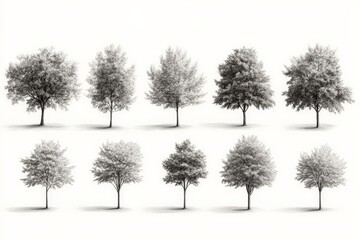 Fototapeta premium Various tree illustrations in different stages of growth displayed in a grid format on a light background