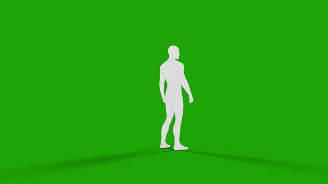 Man Standing and rotate. 3D Model, 360 Degrees rotation loop. Isolated on transparent background alpha channel green screen. 4k