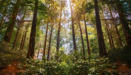 Fototapeta premium Every visit to the park offers new discoveries. 