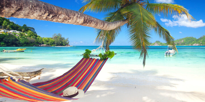 amazing beach with red hammock on a palm tree against turquoise sea