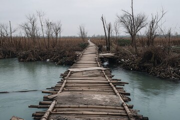 Obraz premium wooden bridge over the river