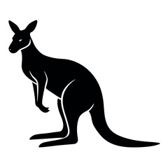 kangaroo vector illustration