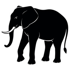 Obraz premium elephant silhouette vector