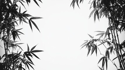 Obraz premium Elegant Black and White Composition of Bamboo Leaves Showcasing Intricate Textures and Patterns Evoking a Sense of Tranquility and Natural Beauty in Minimalist Artistic Style