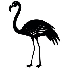 illustration of a flamingo vector