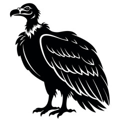 Vulture vector illustration