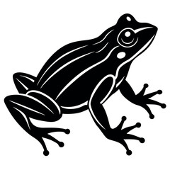 frog on a white background vector illustration
