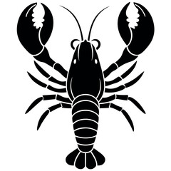 crayfish vector illustration