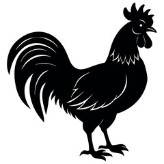 rooster isolated vector illustration