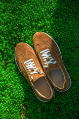 Suede sneakers in brown tones on a green moss in Sun Light. Stylish men's shoes.