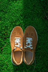 Suede sneakers in brown tones on a green moss in Sun Light. Stylish men's shoes.