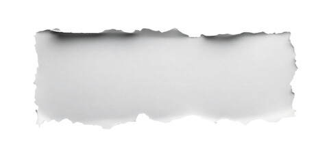 a piece of white paper with a ragged, torn edge isolated against a transparent background, cut out, PNG 3D Digital Art, clip art.