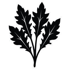illustration of a leaf vector illustration