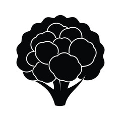 -silhouette cauliflowervector illustration