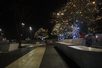 The Illuminated Park at Night with Twinkling Lights Creates a Magical Experience for All