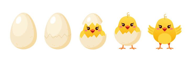 Collection of cute yellow chicken