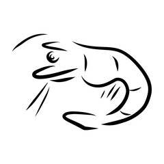 Hand drawn shrimp, stylized whimsical shrimp doodle