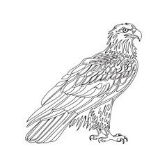 Black and White silhouette Eagle Line Art with Intricate Feather Details and Powerful Close-Up Perspective