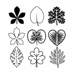 This graphic design showcases a collection of stylized tropical leaves and flowers in black and white