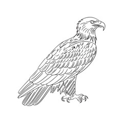 Black and White silhouette Eagle Line Art with Intricate Feather Details and Powerful Close-Up Perspective
