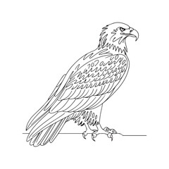 Black and White silhouette Eagle Line Art with Intricate Feather Details and Powerful Close-Up Perspective