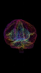 Abstract Digital Brain Wireframe Network Mesh in Red and Blue Gradient