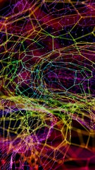 Abstract Digital Brain Wireframe Network Mesh in Red and Blue Gradient