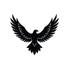 eagle on white vector Illustration